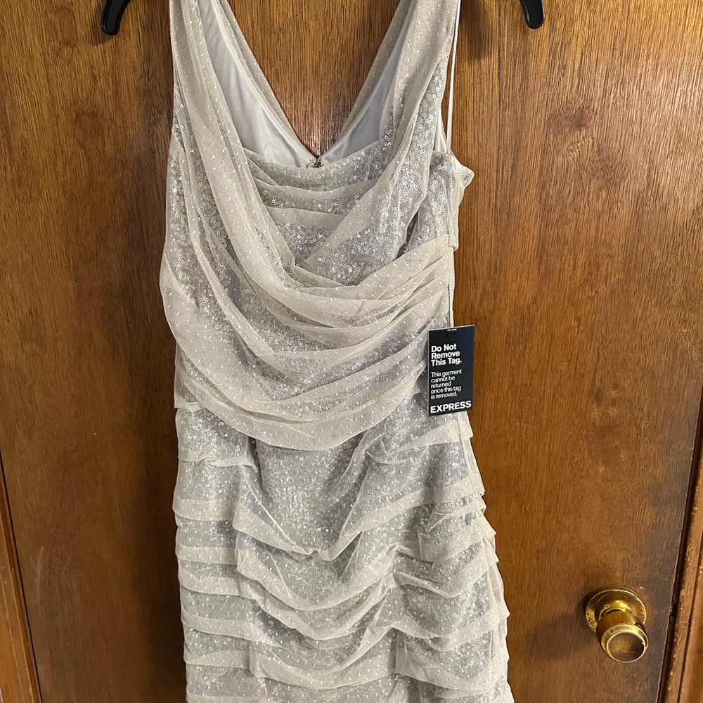 NWT Express Silver Sequin Dress